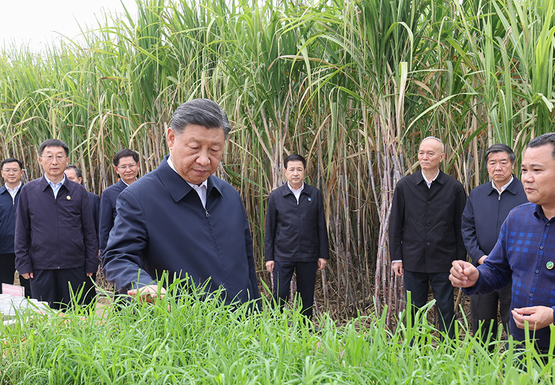 足球心水推荐