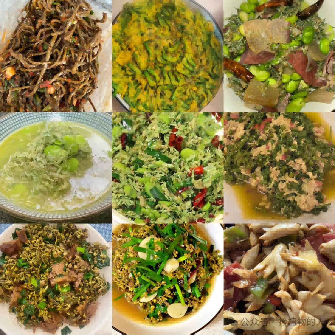 足球心水推荐